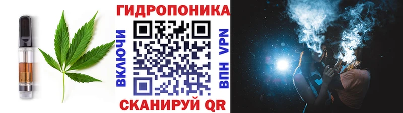 дарнет шоп  Дмитровск  Canna-Cookies конопля 