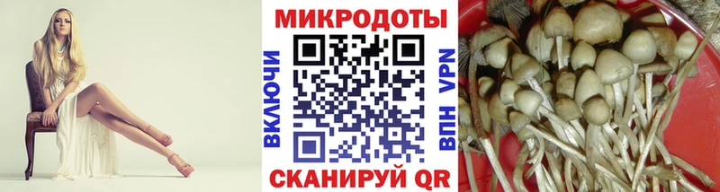 Псилоцибиновые грибы GOLDEN TEACHER  где можно купить наркотик  Дмитровск 